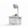 Stable performance veterinary digital X ray system VET1600